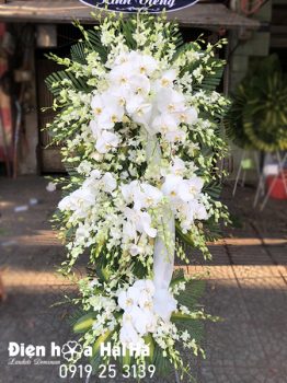 Mẫu 1.3: (#HV-154VN) Vòng hoa chia buồn lan trắng, hồ điệp sang trọng, thành kính.
Giá: 2.500.000 ₫