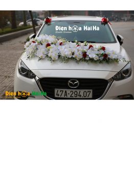 Mẫu xe hoa cưới bằng lụa hồ điệp siêu đẹp mã XHG-103 sang trọng nhất (1)