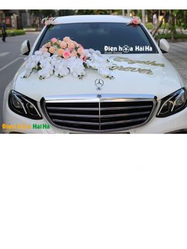 Trang trí xe cưới bằng hoa lụa hồ điệp thanh lịch mã XHG-098 sang trọng (1)