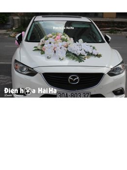 mẫu xe hoa cưới bằng lụa hồ điệp giá rẻ mã XHG-038 (1)