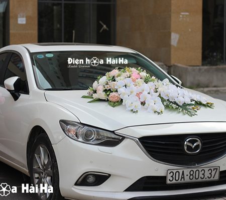 mẫu xe hoa cưới bằng lụa hồ điệp giá rẻ mã XHG-038 (7)