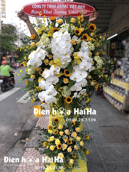 Bán lẵng hoa tặng khai trương cửa hàng - Phát Đạt Hưng Thịnh