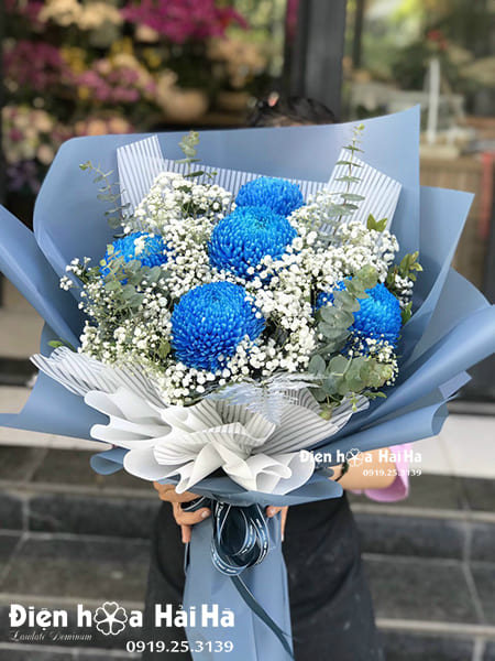 Bó hoa cúc Mẫu Đơn màu xanh coban - Hoàng Gia quý phái
