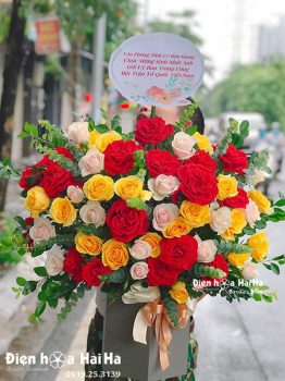 Gợi ý 5 loại hoa tặng sinh nhật đẹp và ý nghĩa  Chuyên mục tin tức  Dalat  Hasfarm 