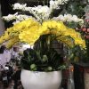 Bình hoa lan hồ điệp giả mã HDG-003 20 cây
