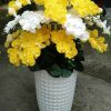Bình hoa lan hồ điệp giả mã HDG-003 20 cây