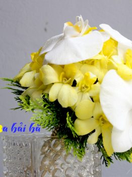 Bó hoa cầm tay cô dâu hồ điệp trắng và lan vàng
