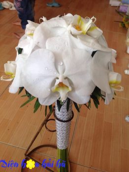 Bó hoa cưới bằng lan hồ điệp