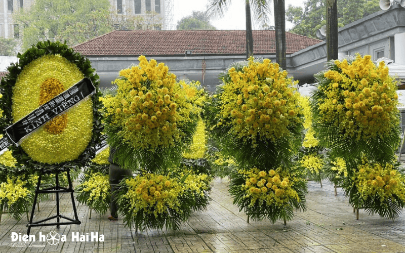 Kệ hoa lan vàng VIP tại Hà Nội