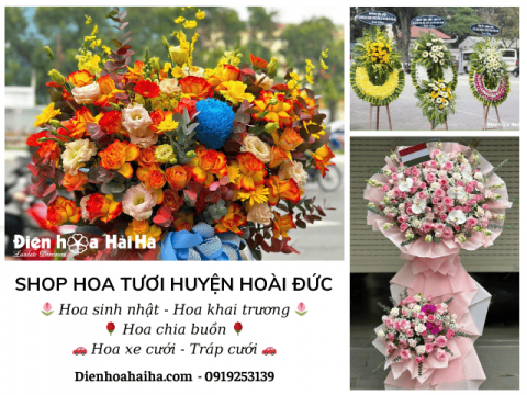 Shop hoa tươi Hoài Đức Hà Nội | 0983698184