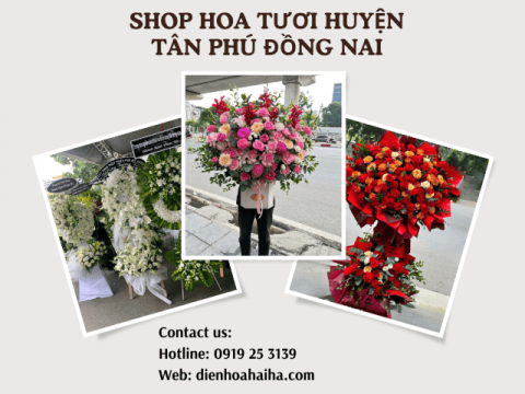 Shop hoa tươi Tân Phú Đồng Nai | Gọi 0919252139