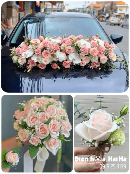 (SET24) Hoa trang trí xe cưới mầu hồng kem - Chung Chia