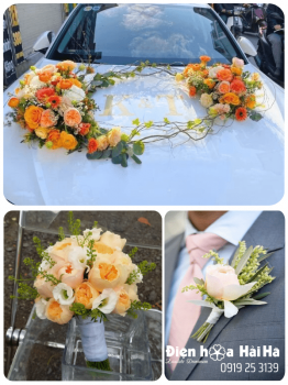 (SET34) Hoa xe cưới mầu cam trắng - Thật Trọn Vẹn