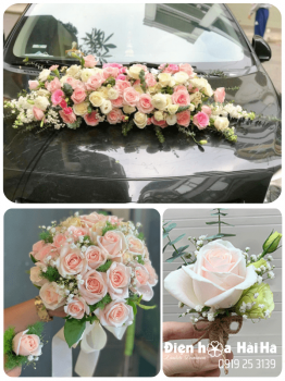 (SET47) Xe hoa cưới mầu hồng nhạt - Nồng Nhiệt