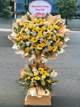 Hoa mừng khai trương - Đầy Bình An